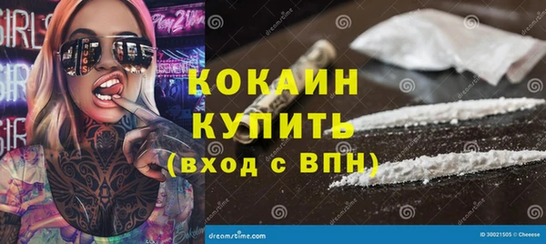 spice Богородск