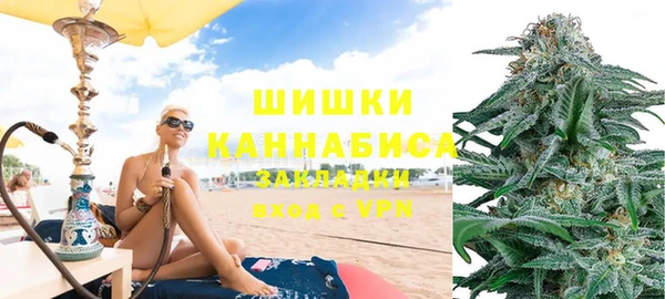 spice Богородск