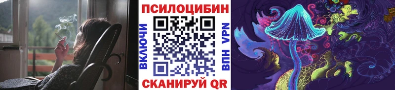 Галлюциногенные грибы Psilocybe  купить наркоту  Болхов 